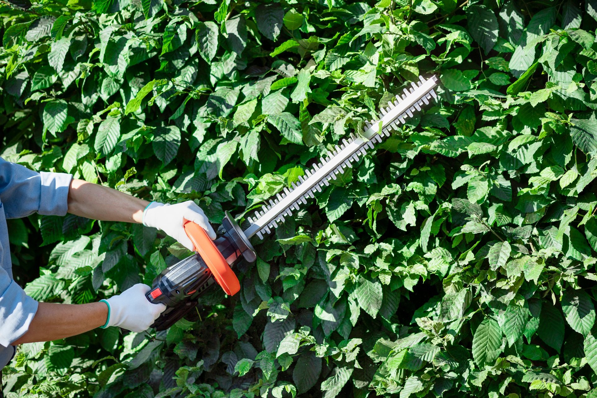 Professional landscaping and hedge trimming for Property maintenance Sevierville, TN