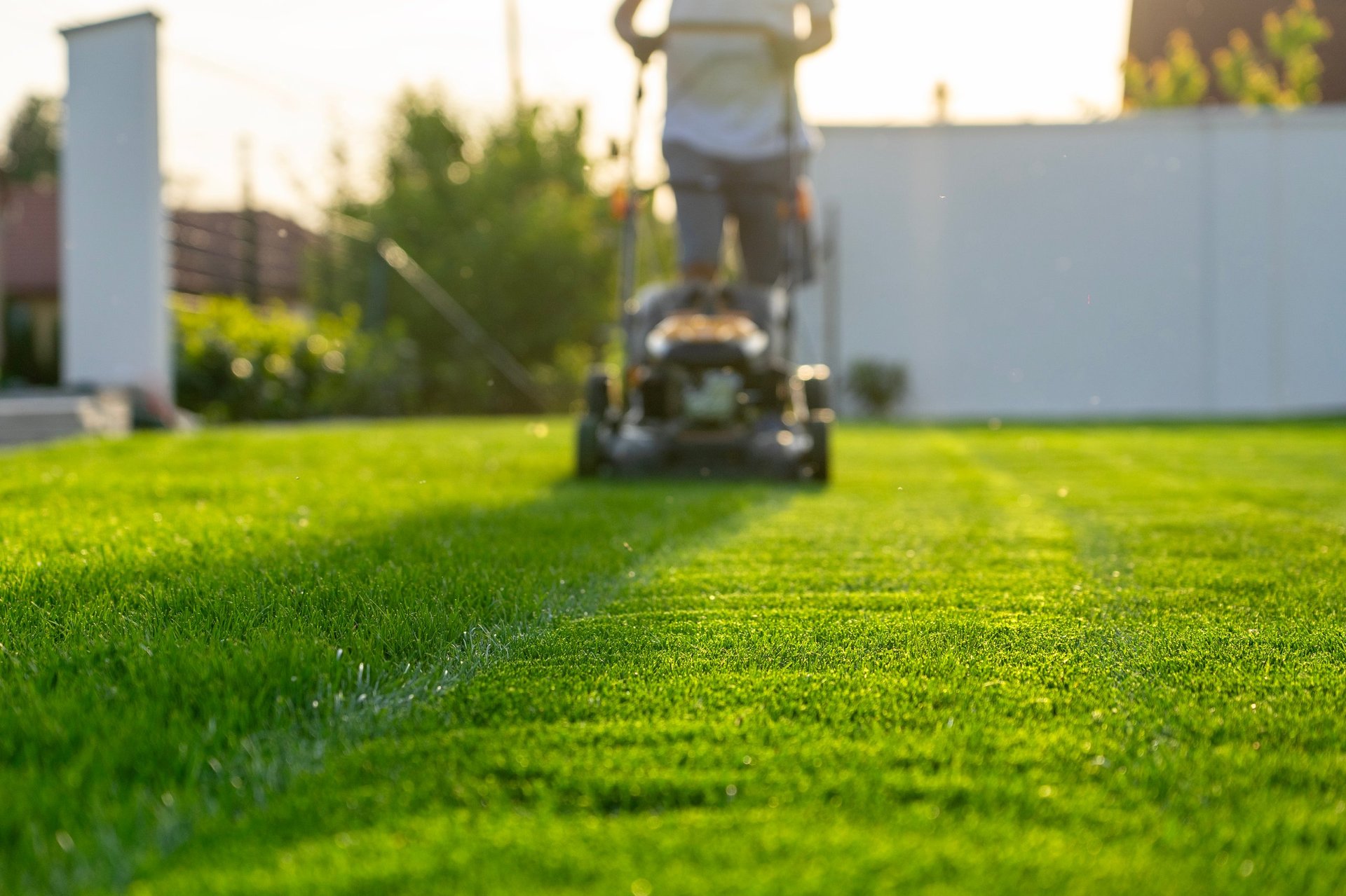 Lawn care and property maintenance for Sevierville, TN homes