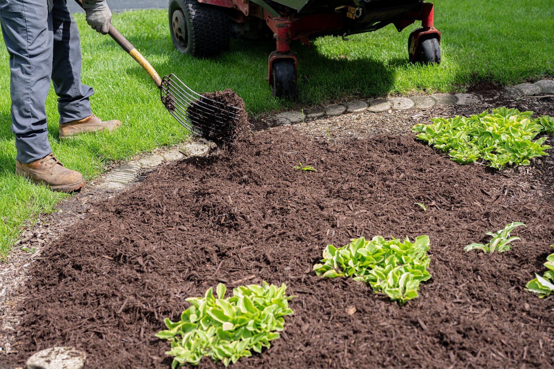 Mulch landscaping around shrubs in Sevier County, TN