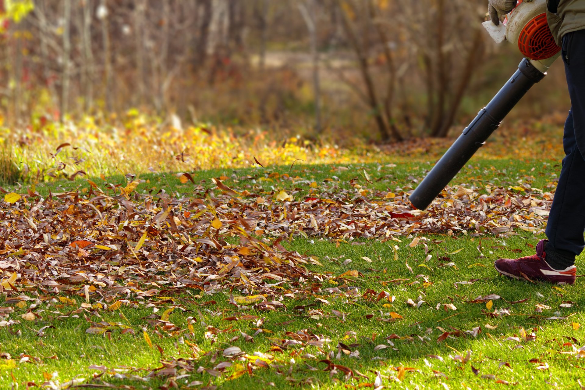 Seasonal leaf cleanup and property maintenance in Sevierville, TN